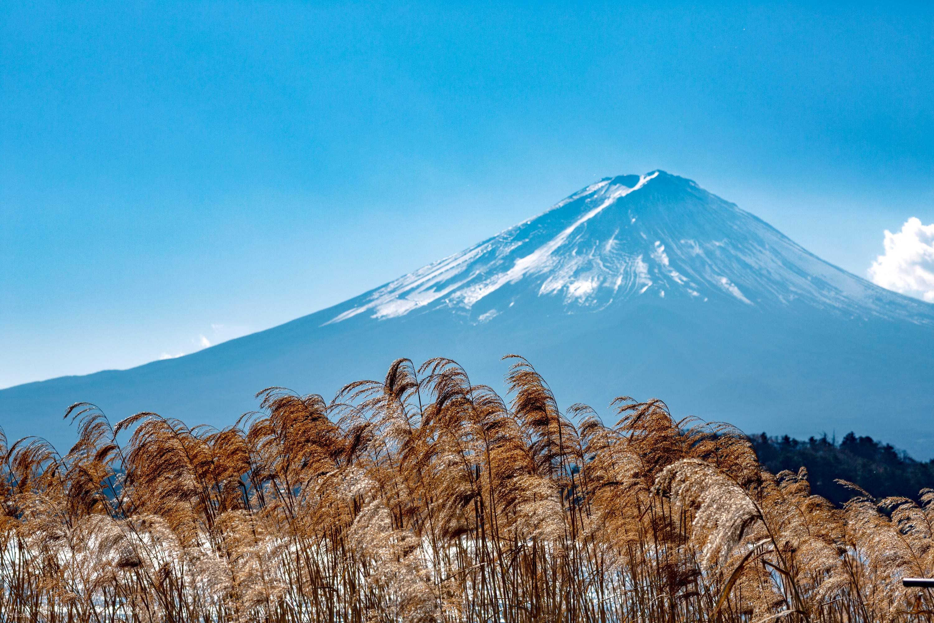 ネイト・ジョルジオ、【Mt.FUJI IN SPRING TIME】 ネイト・ジョルジオ、【Mt.FUJI IN SPRING TIME】 ネイト